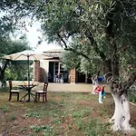 Private Dula With Ocean View