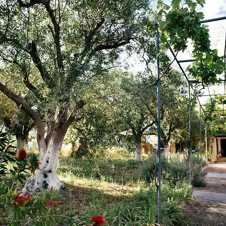 Private Dula With Ocean View