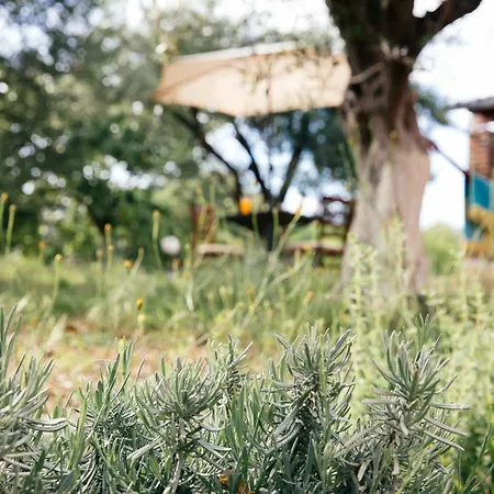 Private Dula With Ocean View * Halikounas