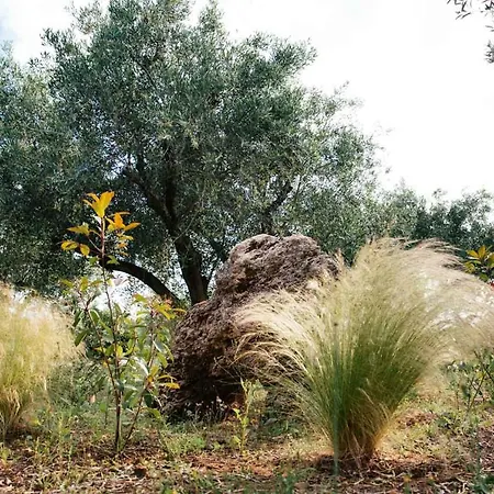 Prázdninový dům Private Dula With Ocean View