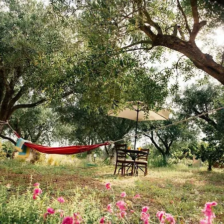 Private Dula With Ocean View Dom wakacyjny Halikounas