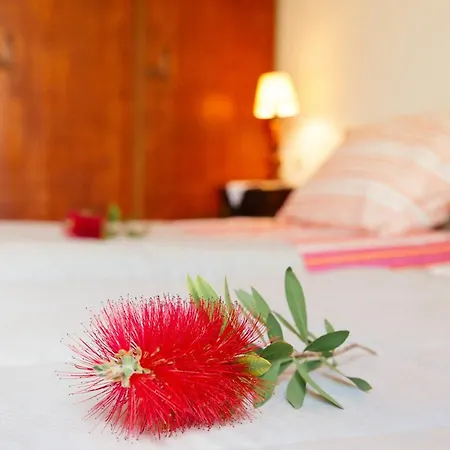 Private Dula With Ocean View Halikounas