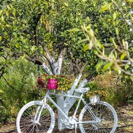 Private Dula With Ocean View * Halikounas