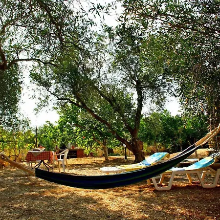 Private Dula With Ocean View Holiday home